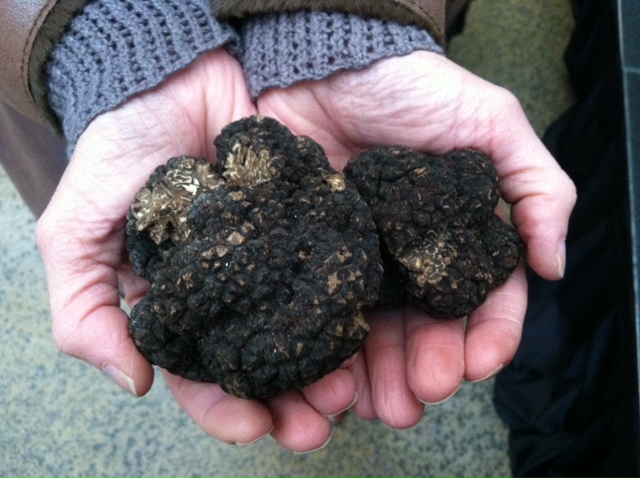 handfull of truffles